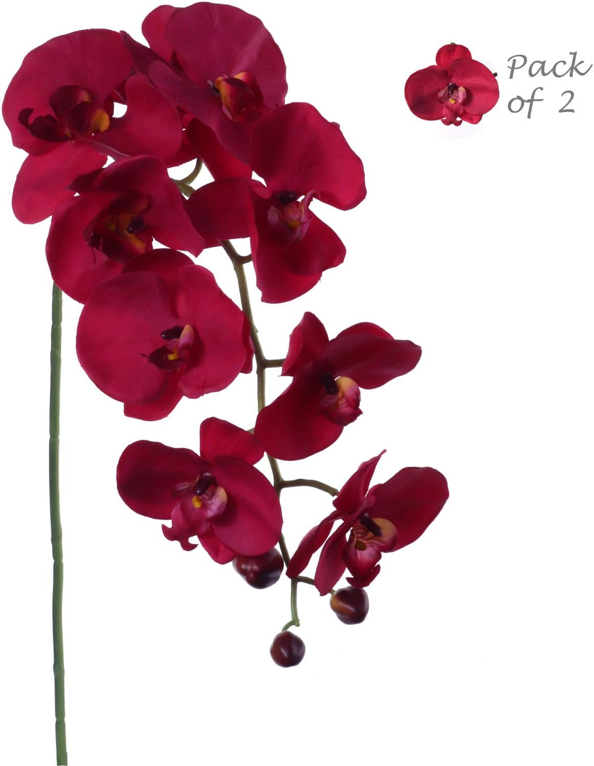 Burgundy 33.5-Inch Phalaenopsis Orchid Stems - With 9 Realistic Silk Flowers for Arrangements, Parties, Home & Office Decor, 2-Piece Set in a Bag, Floral Home by Artificial Flowers