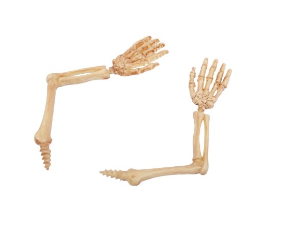 Halloween Fun World LED Skeleton Pumpkin Peeper Decorating Kit