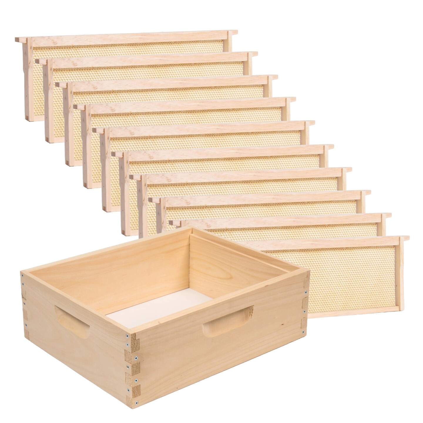 Stoney Acres Beekeeping Beehive Box, 10 Frame Medium Assembled Super or Brood Honeybee Hive Box with Plastic Foundation Frames, Amish Made