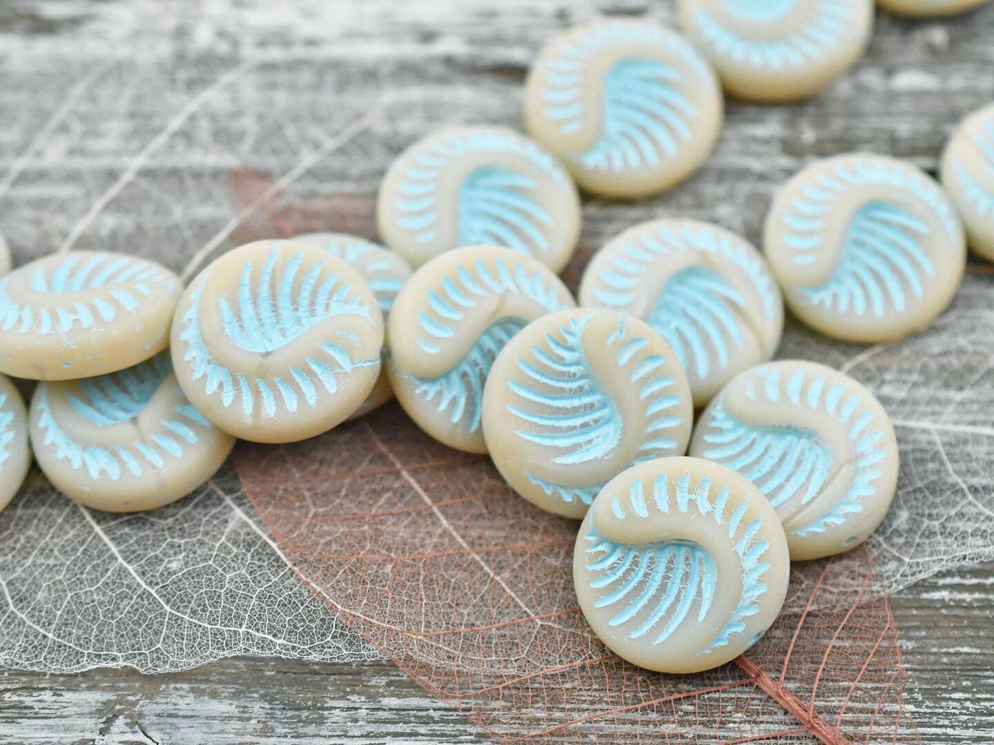 *6* 19mm Turquoise Washed Matte Eggshell Opal Fossil Coin Beads