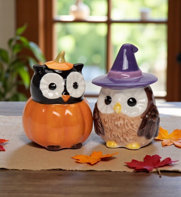 Ceramic Witch Owl And Pumpkin Owl Salt And Pepper Shakers, Gift for Her, Gift for Mom, Kitchen Décor, Fall Décor, Halloween Décor