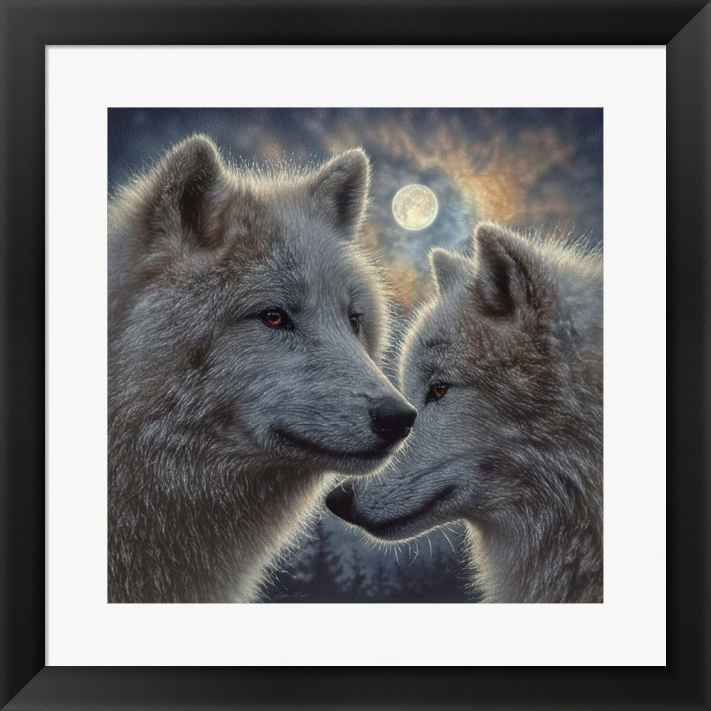 Collin Bogle Wolves Moonlight Wolf Mates by Collin Bogle, Framed Art, Size: 19.5x19.5 ...