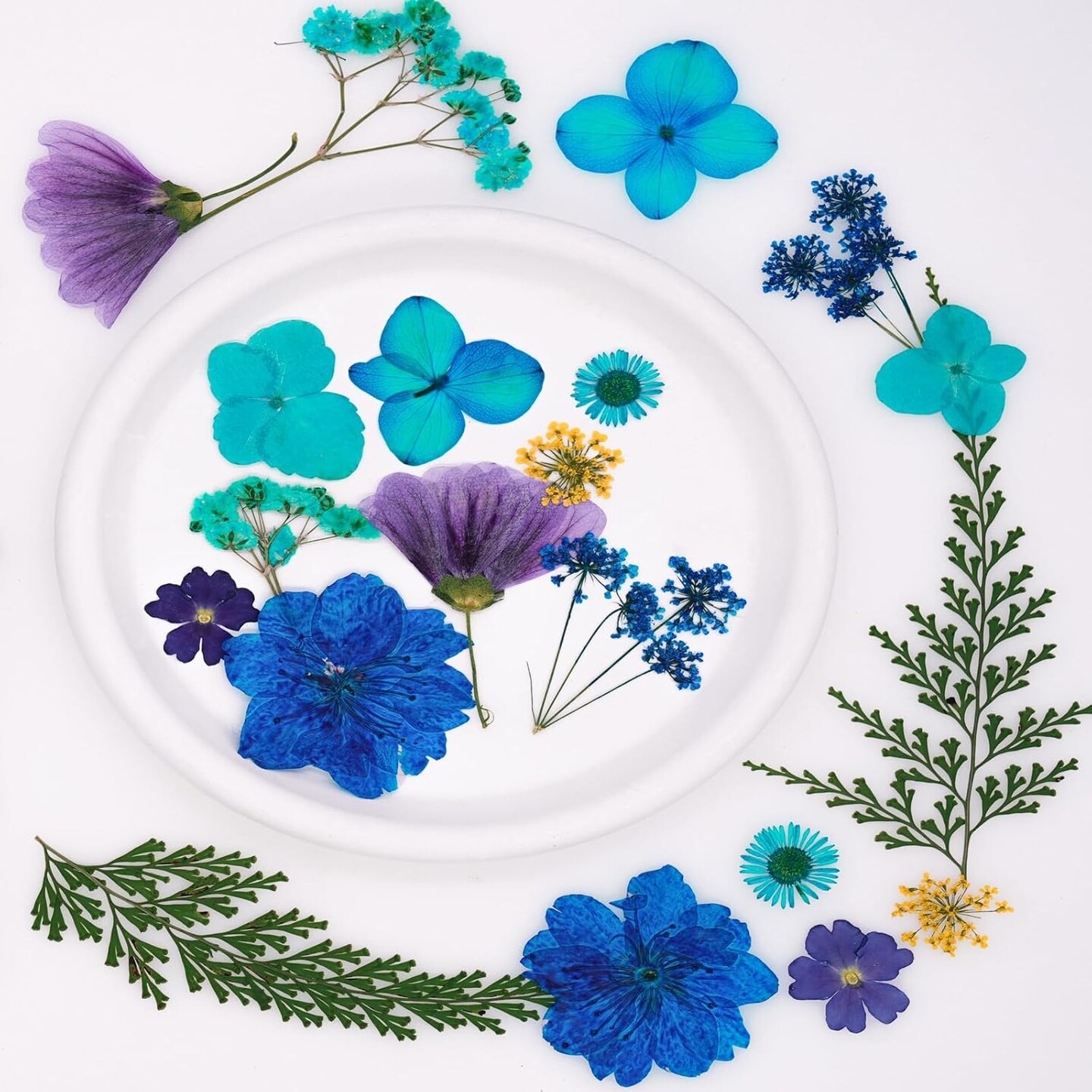 30-Piece Dried Pressed Flowers for Crafts – Ocean Blue Real Flowers & Leaves for Resin, Jewelry, Candle, Soap, Bookmarks, Phone Cases & DIY Projects (Ocean Blue)