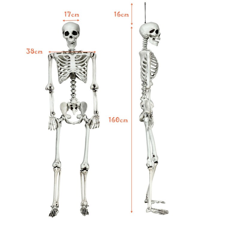 5.4 Feet Life-Size White Poseable Halloween Skeleton with Hanging Rope for Outdoor Decor