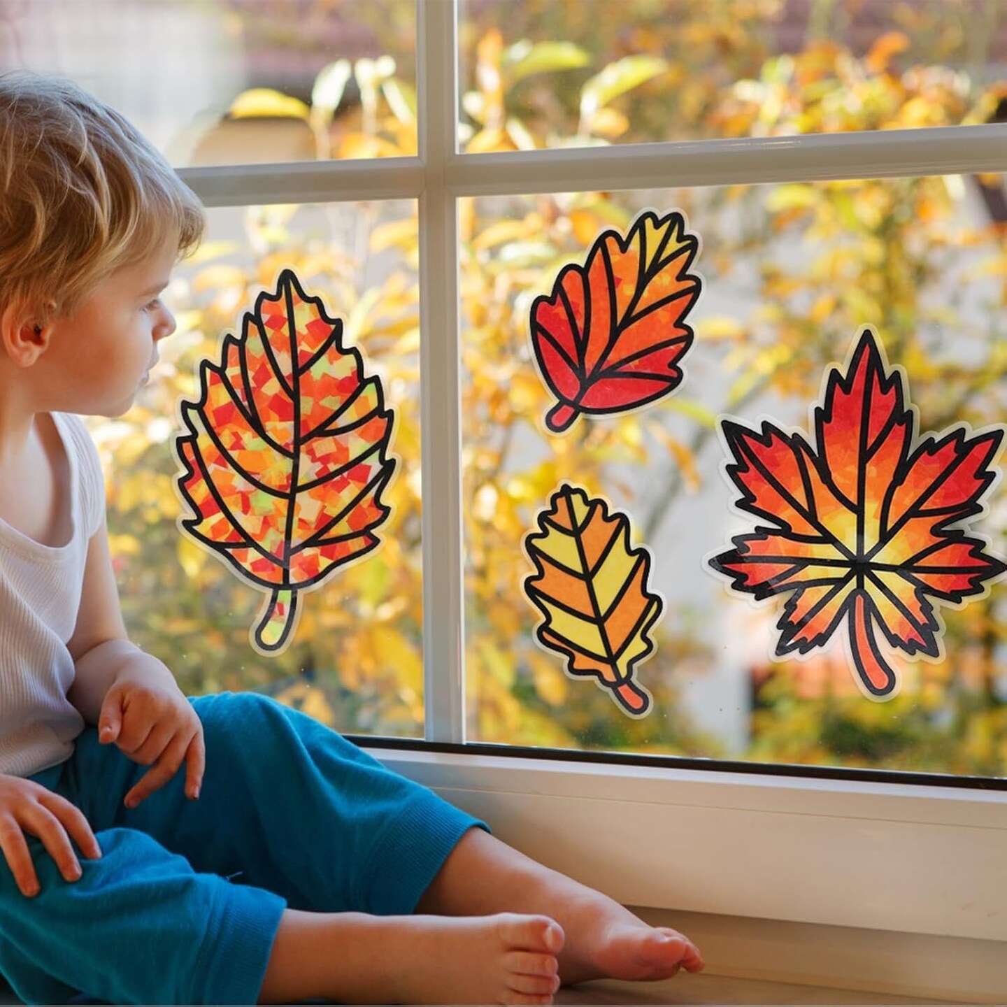 12 Pack Maple Leaf Craft for Kids Make You Fall Own Stained Glass