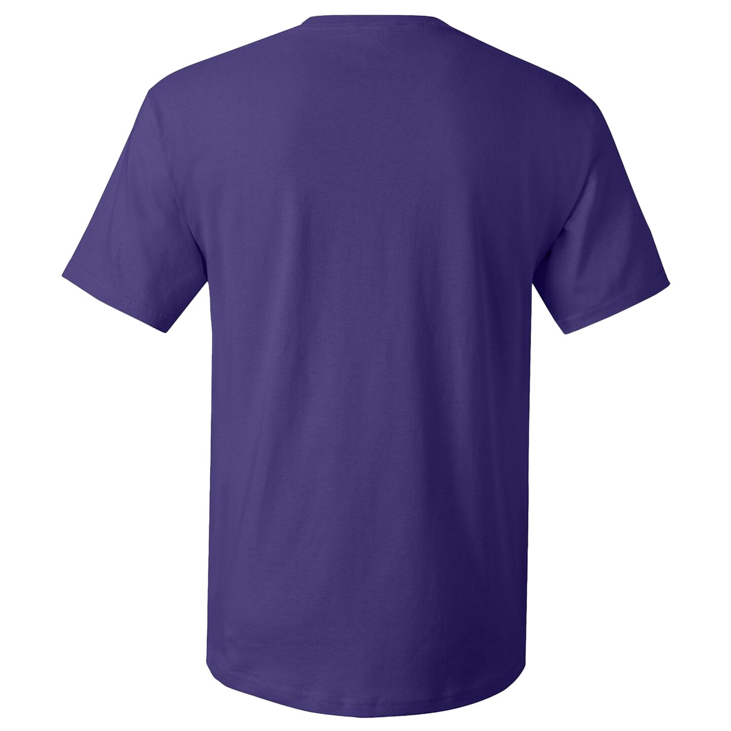 Hanes Men's Essential-T Cotton T-Shirt - 5280, Short Sleeve Arts & Craft Blank Tee