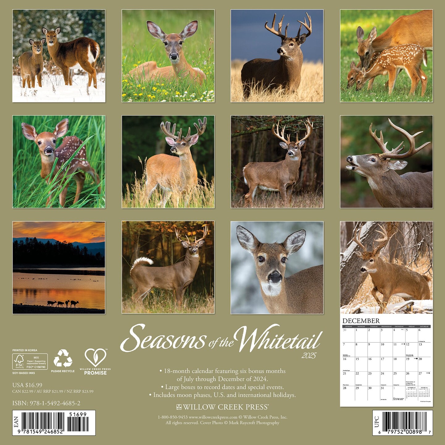 Seasons of the Whitetail (Deer) 2025 Wall Calendar