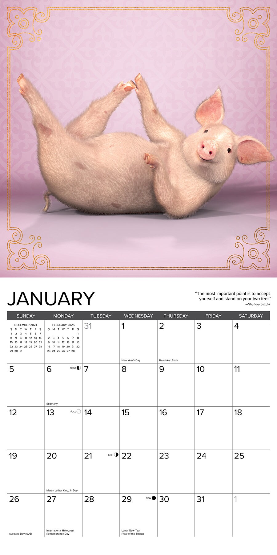 Pig Pilates 2025 Wall Calendar