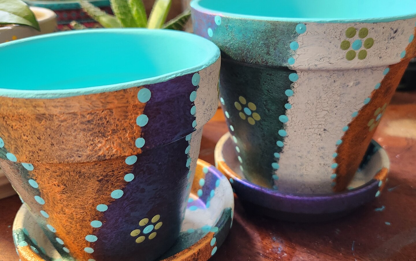 Succulent Planters | Painted Flower Pots | Succulent Flower Pots | Herb Planters | Boho Decor | Succulent Pots | Garden Lover Gifts product 5