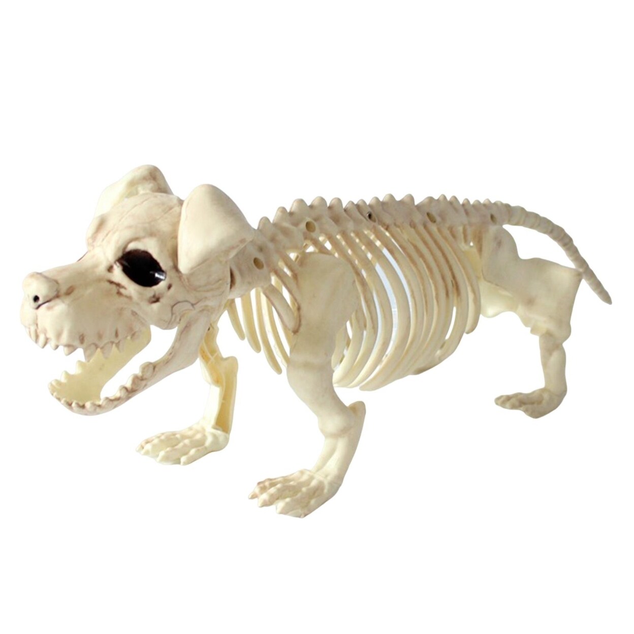 Halloween Decoration Mini Skeleton Bone Statues Poseable Rat Dog Spider Cat Owl Skeleton Figurine For Haunted House