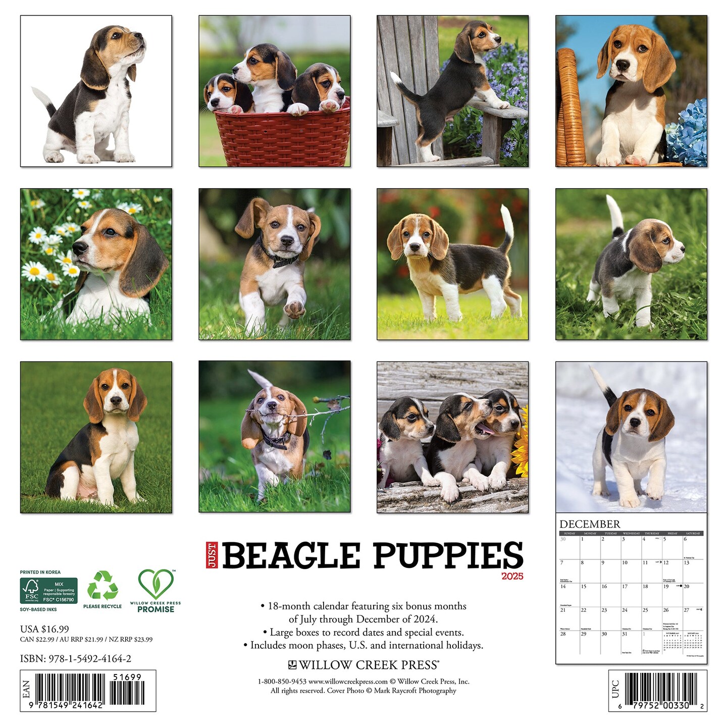 Beagle Puppies 2025 Wall Calendar