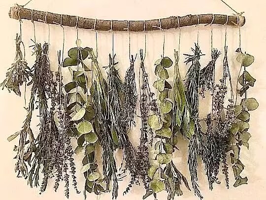 Dried Herbs Wall Hanging | MakerPlace by Michaels