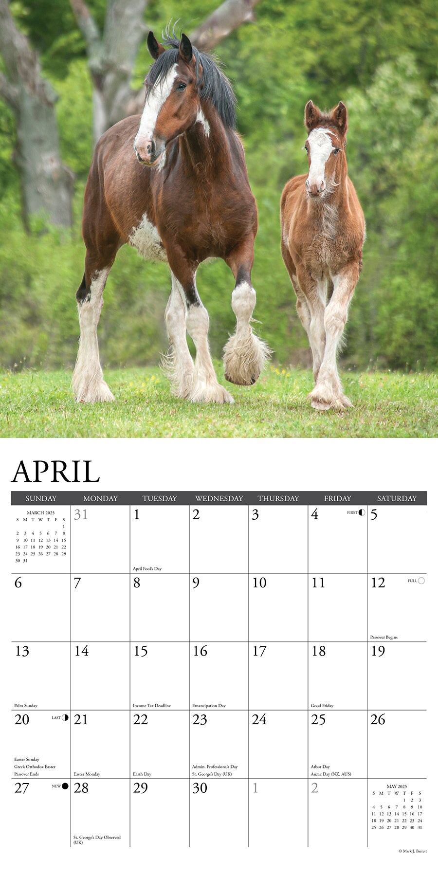 Clydesdales 2025 Wall Calendar