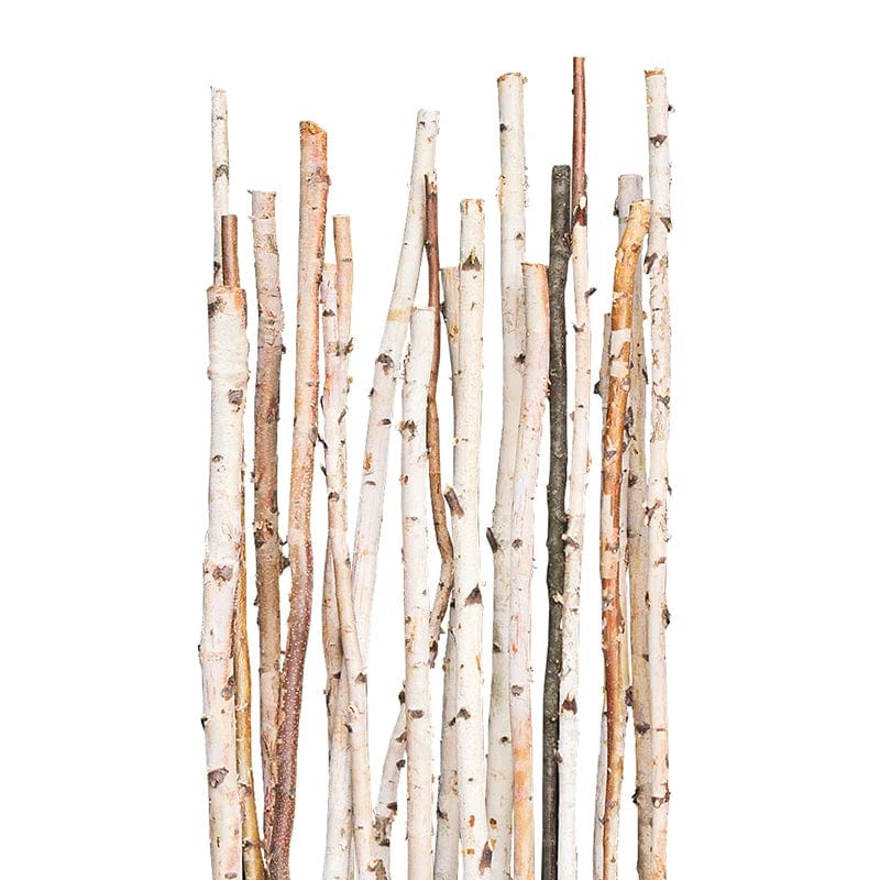 Set of 3 Birch Branches - 31&#x22;