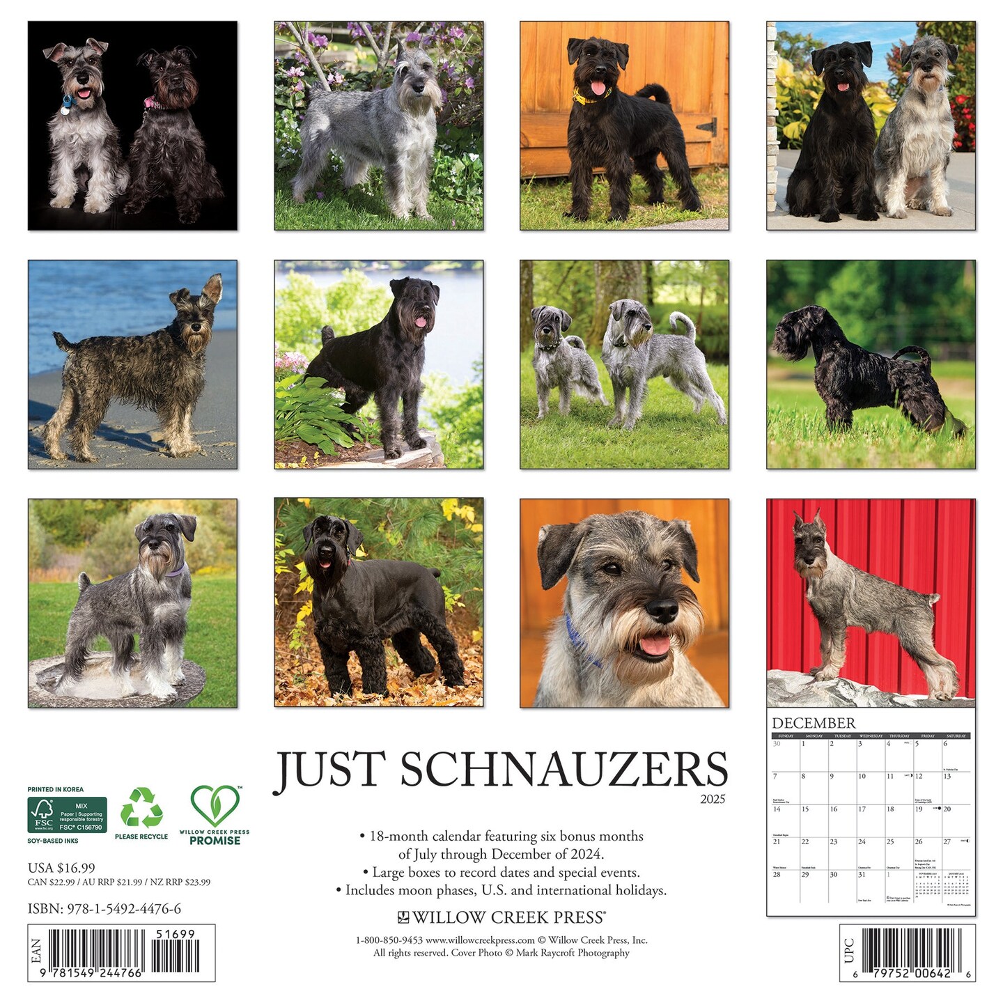 Schnauzers 2025 Wall Calendar