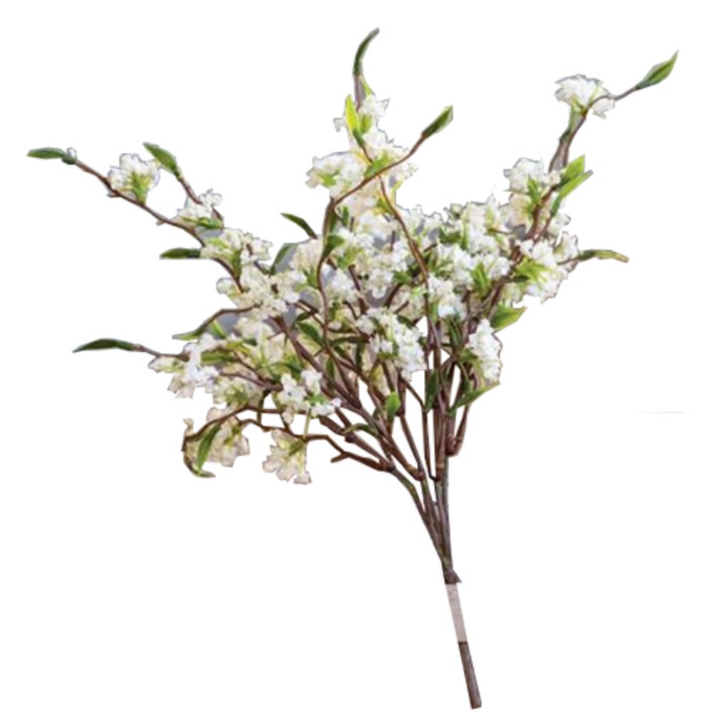 Bliss Buds Bush