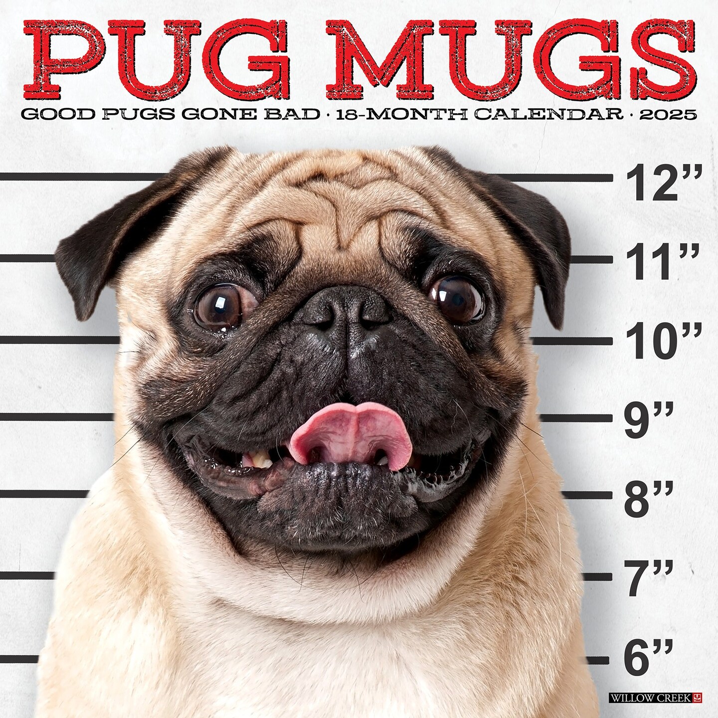 Pug Mugs 2025 Wall Calendar