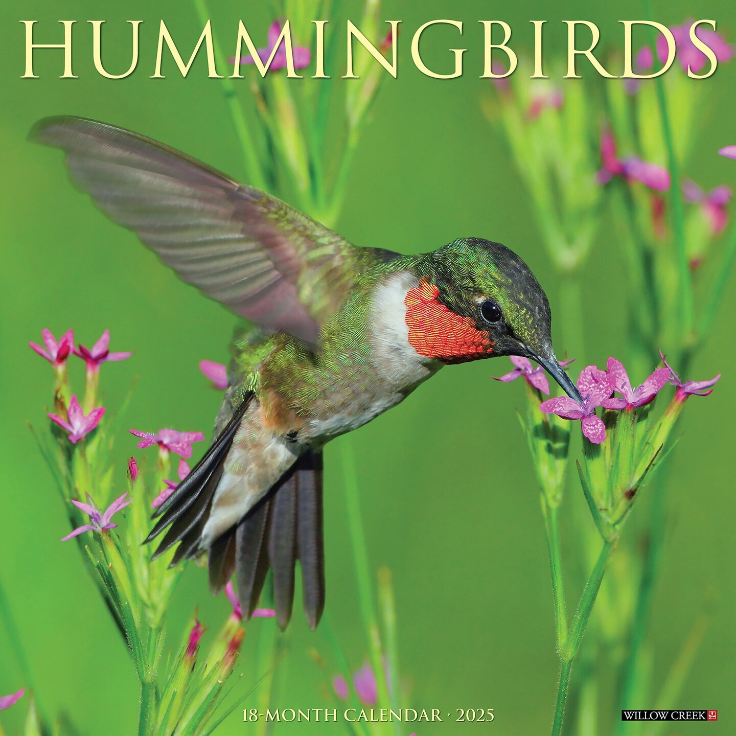 Hummingbirds 2025 Wall Calendar