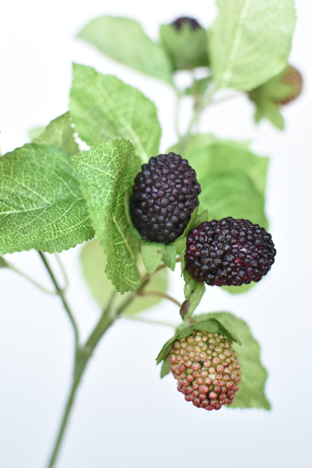 11&#x22; Faux Blackberry Stem