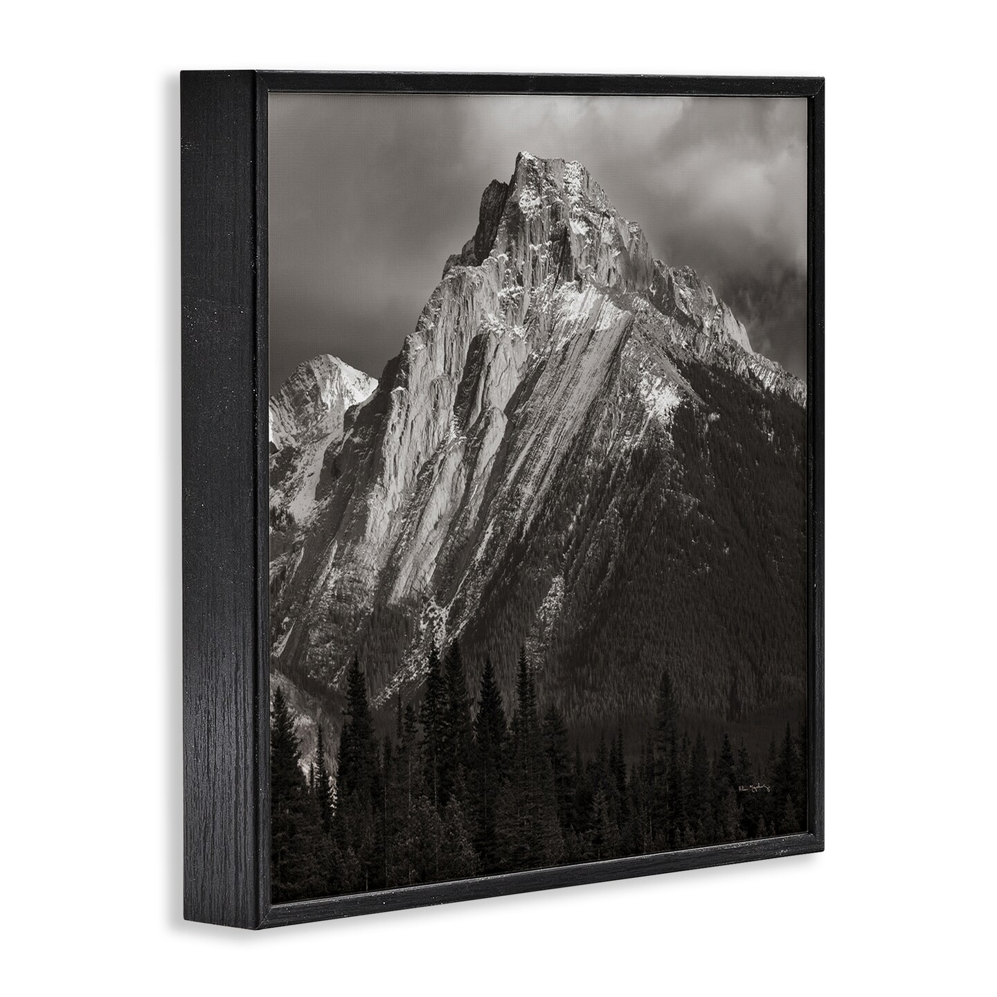 Stupell Industries Canadian Rockies View Framed Giclee Wall Art Design by Alan Majchrowicz