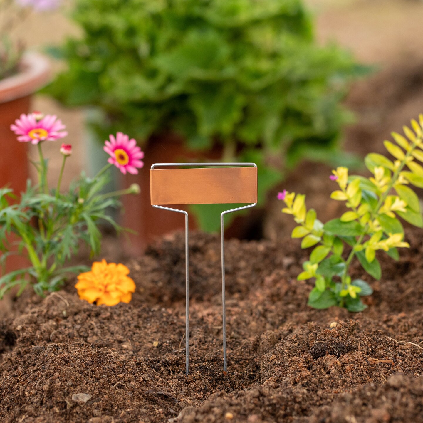 Gardenised 25-pcs Weatherproof Plant Markers Labels for Seedlings Vegetables Herbs Flowers Planters &#x26; Pots Ideal for Greenhouses Nurseries Botanical &#x26; Community Gardens Outdoor Gardening &#x26; Landscaping