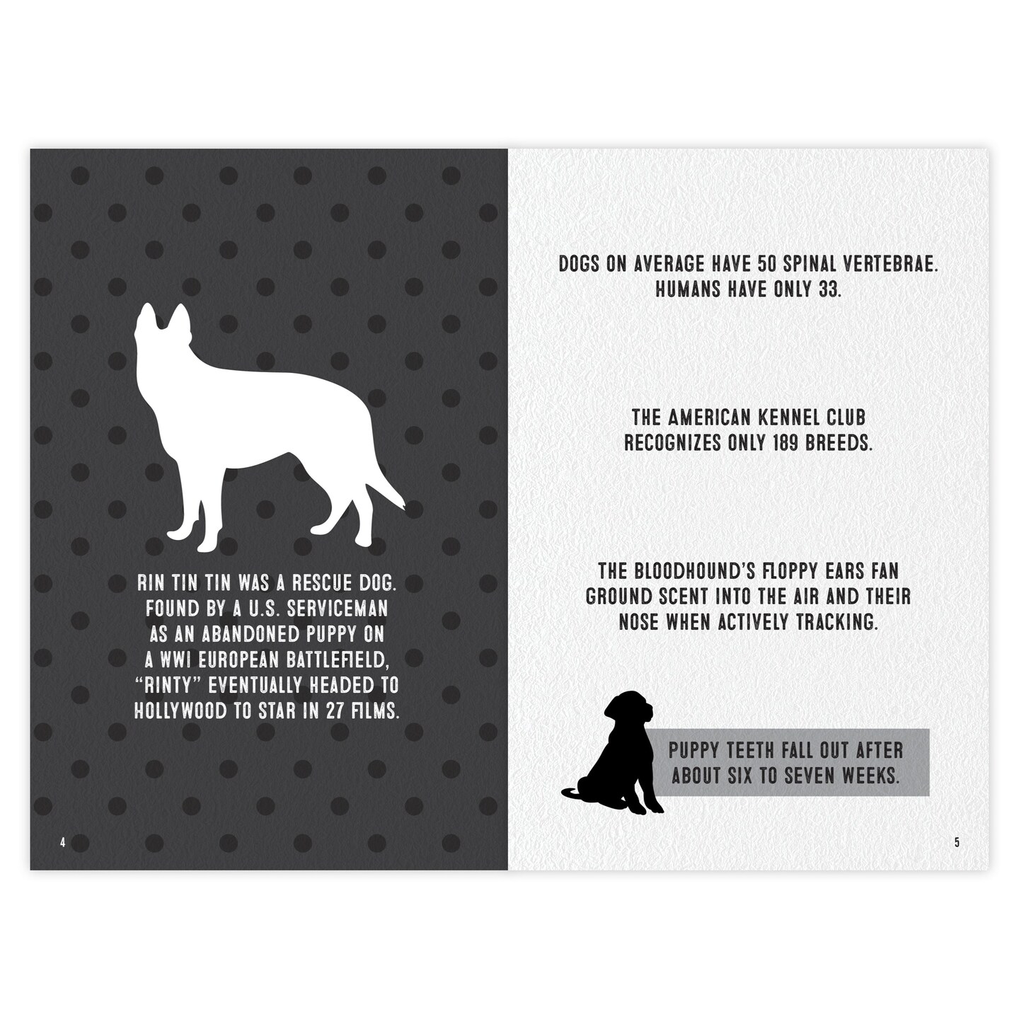 Dog Trivia: Over 200 Pawsome Canine Facts for Dog Lovers Softcover Book