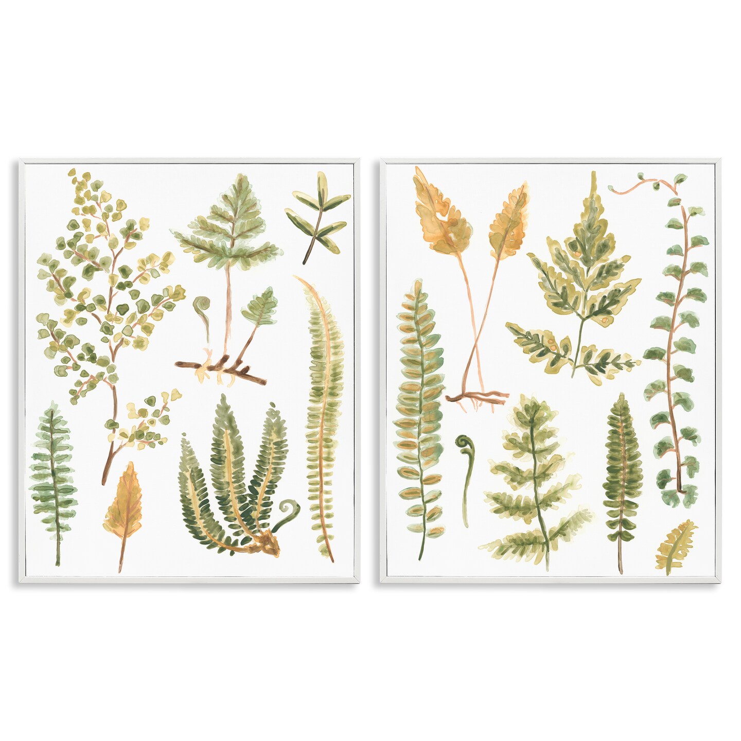 Stupell Industries Watercolor Fern Leaves 2 pc Framed Giclee Wall Art Set Design by June Erica Vess