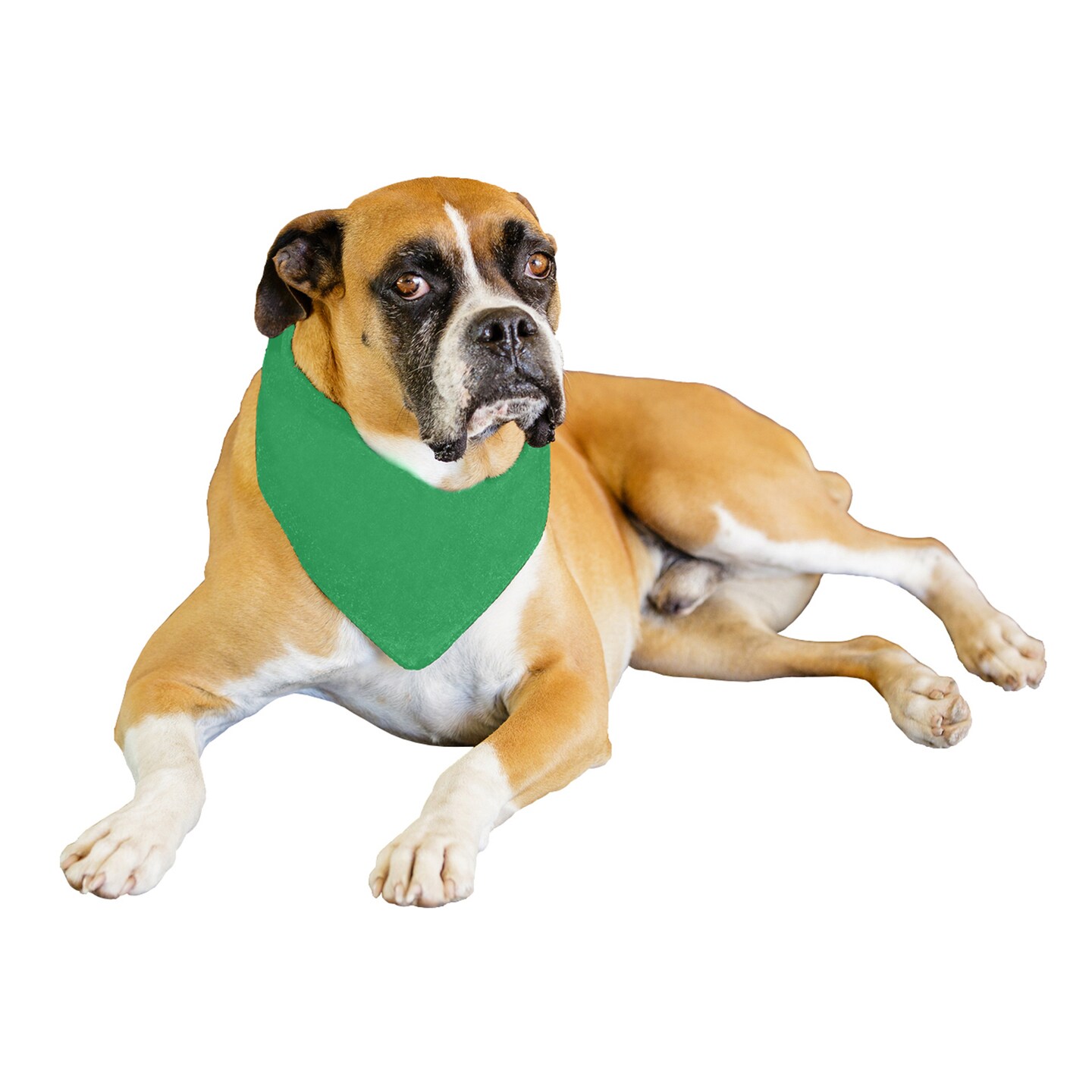 2-Pack Solid Polyester Dog Neckerchief Triangle Bibs - Extra Large