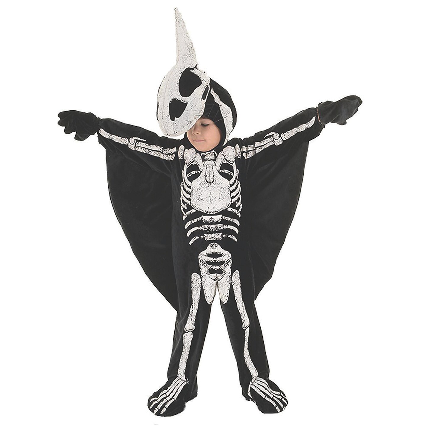 Child&#x27;s Pterodactyl Costume