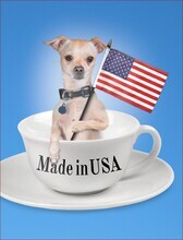 30mm x 40mm Antiqued Brass Cameo Frames - Set of Two - AB-F07