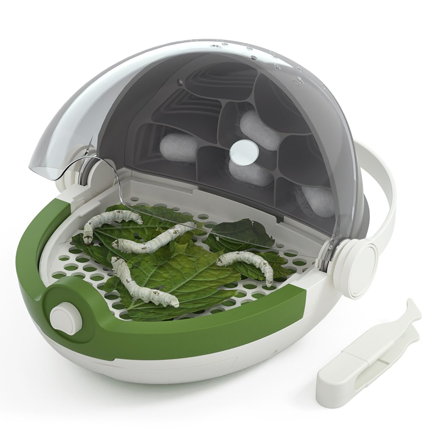 Hape: Science Can: Insects Growth Station - Grow &#x26; Observe Your Own Silkworms, Life Sciences Experiment Toy, View Bugs Up Close, Play &#x26; Learn, Kids 6+
