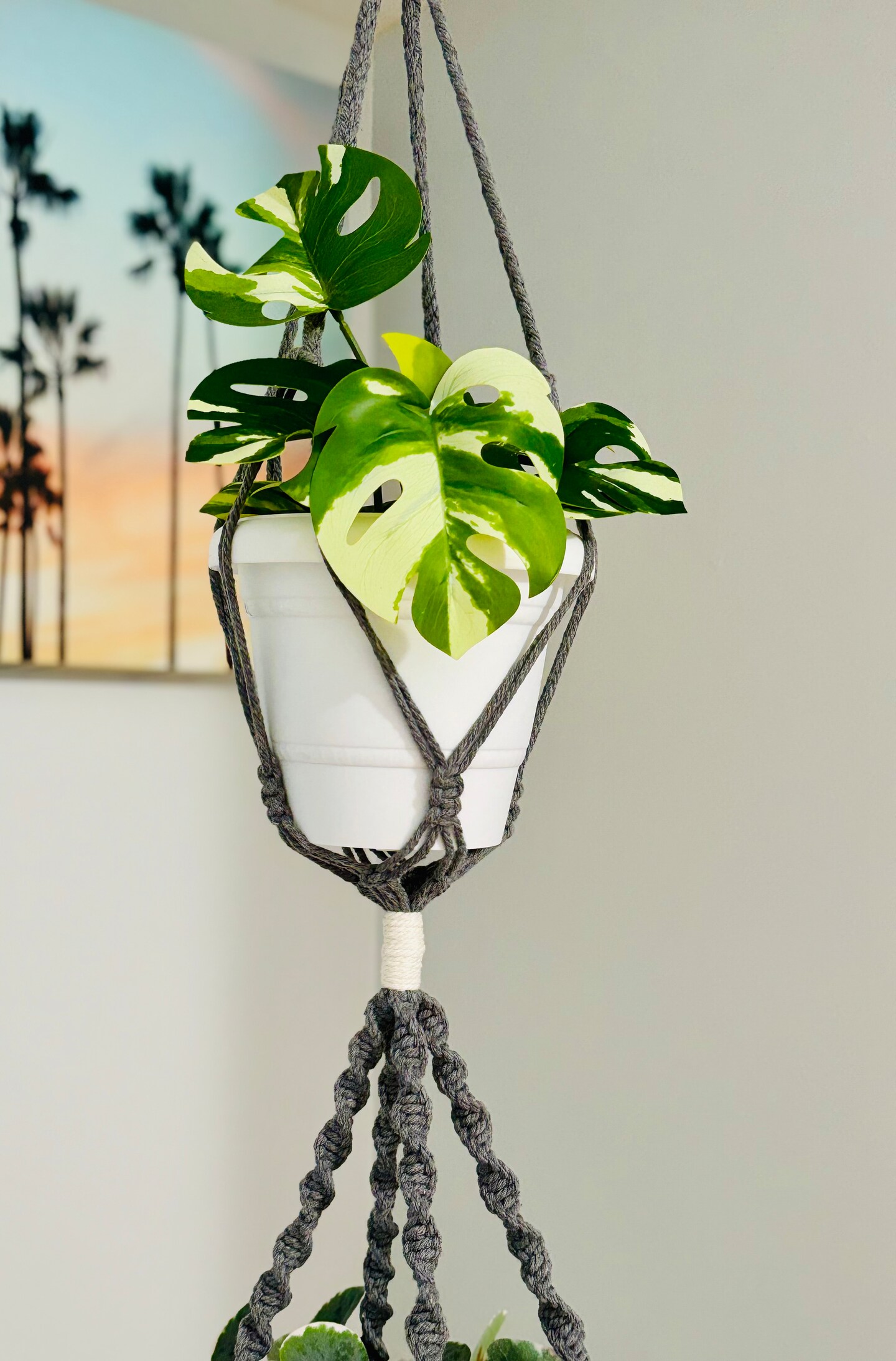 plant stands for indoors Corner Plant Stand Indoor, 6 Tiered Plant Shelf Flower Stand