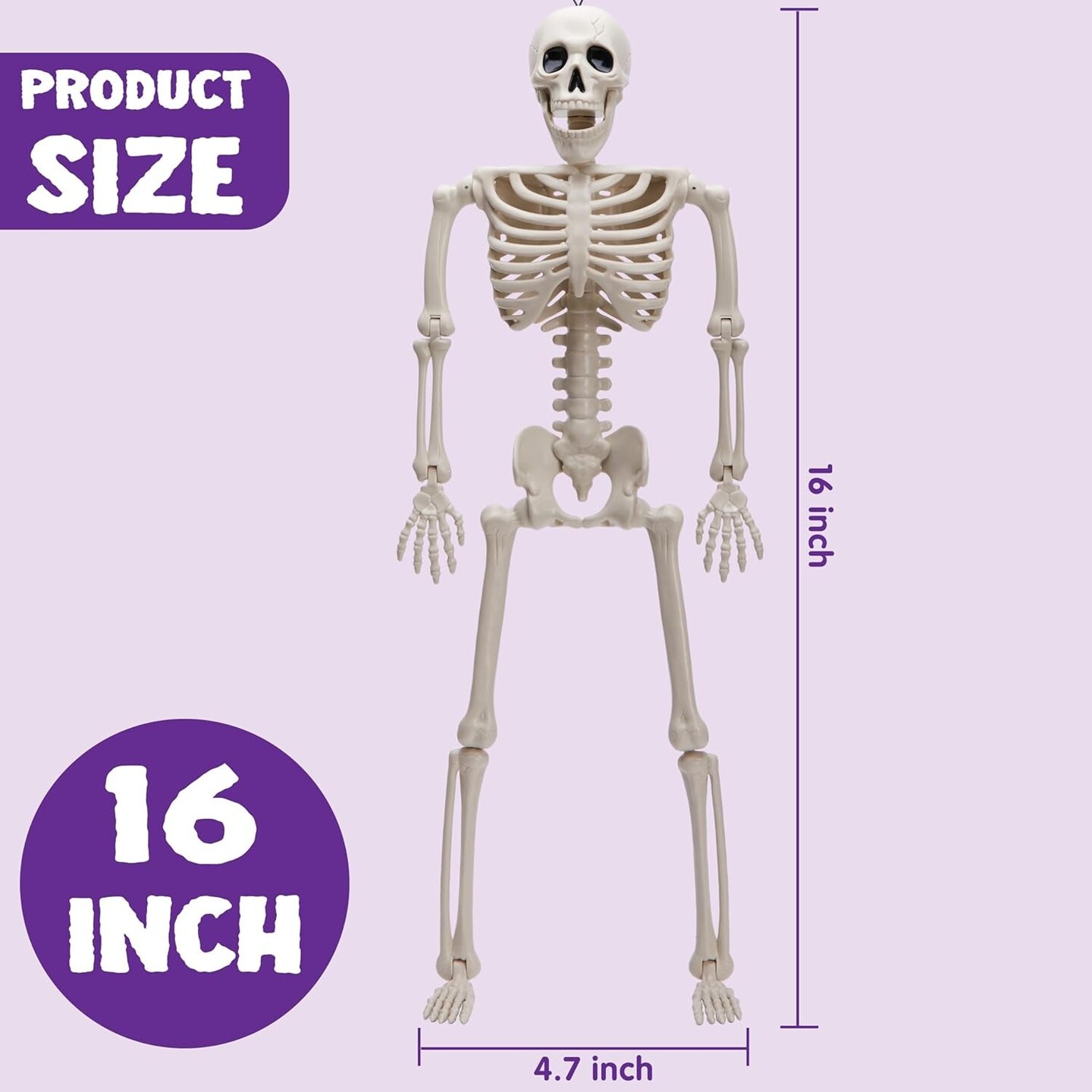10 PCS 16 Inches Halloween Hanging Skeletons Full Body Skeletons Realistic Human Plastic Bones with Posable Joints for Halloween Indoor Outdoor Party Decor, Graveyard Decorations