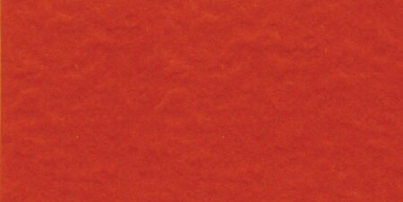 Bazzill Fourz Cardstock 12&#x22;X12&#x22;