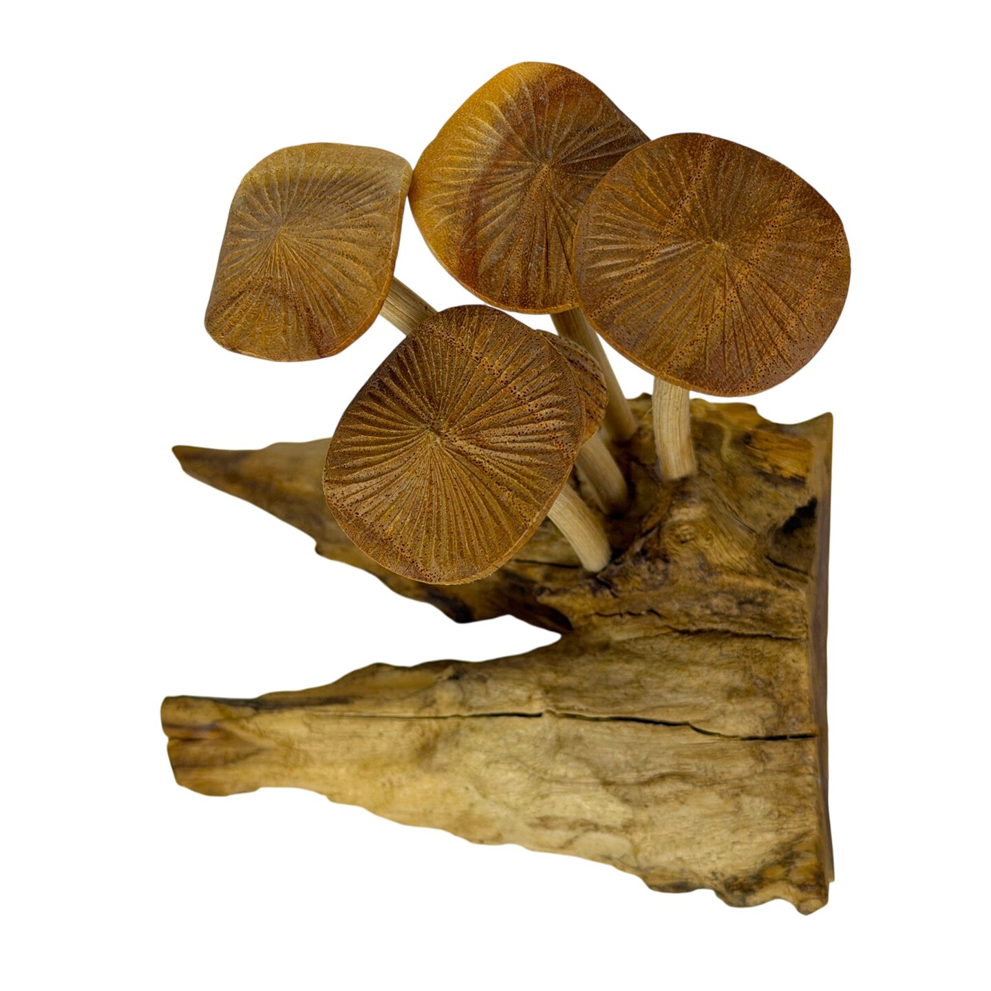 Wood Mushroom Sculpture Natural Tabletop Figurine Root Base Decor