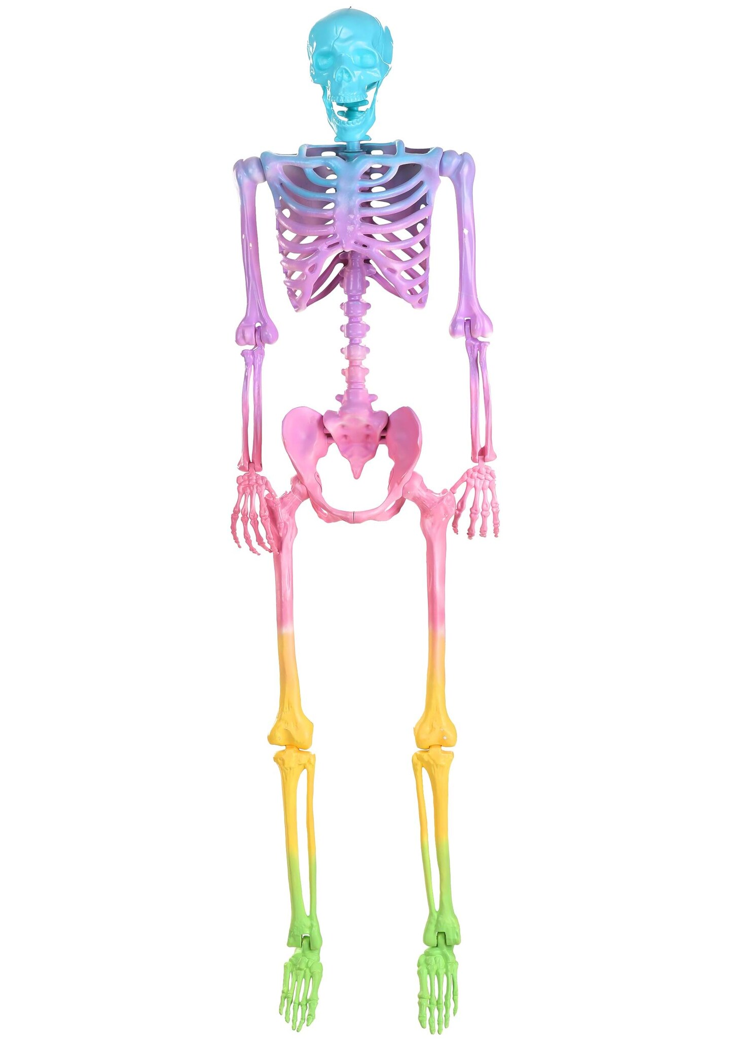 5FT Poseable Crazy Bones Skeleton in Rainbow Decoration