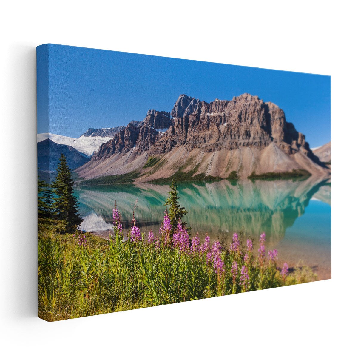 Bow Lake, newest Banff National Park, Alberta, Canada Photo Print