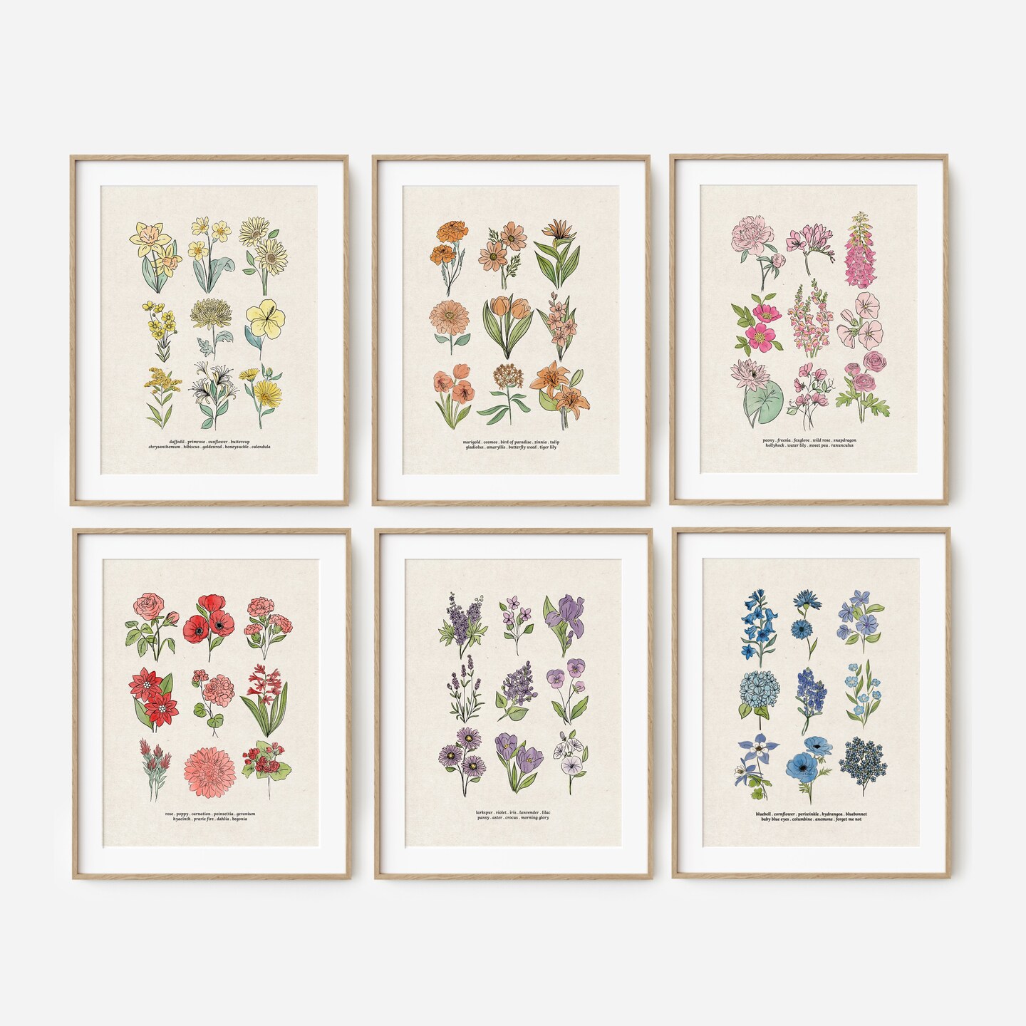 6 Floral Charts Art Prints | Unframed Antique Style | Yellow