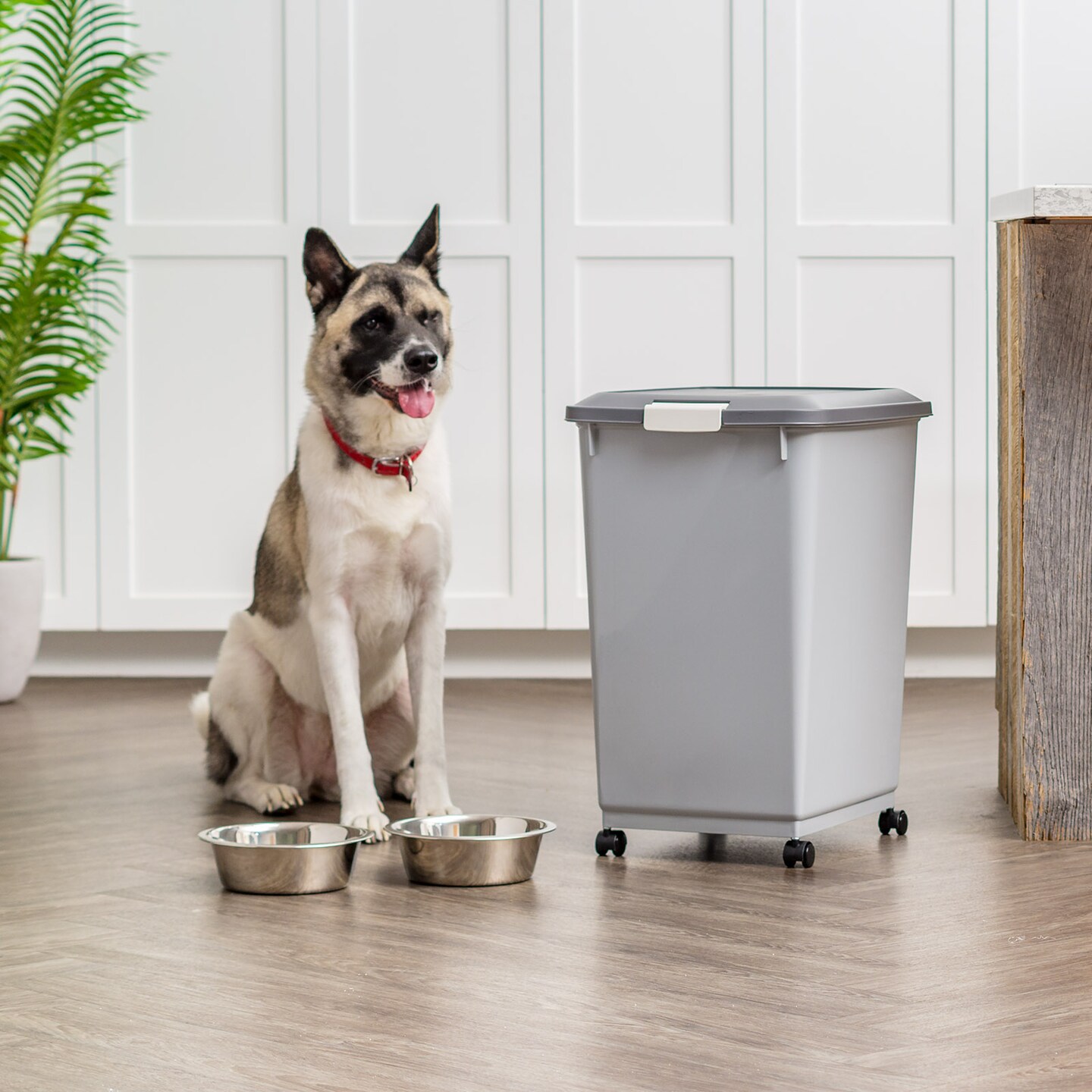 IRIS USA Dog Food Storage Container with Wheels, 2-Cup Scoop, Gray/Dark Gray