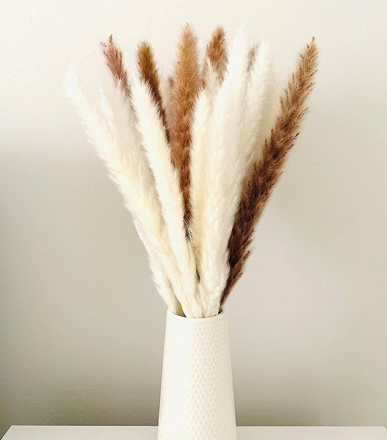,17 inch/45 cm Natural Dried Pampas Grass Branches Decor(White)