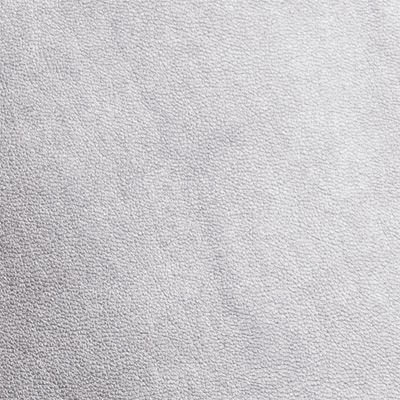 Metallic Silver