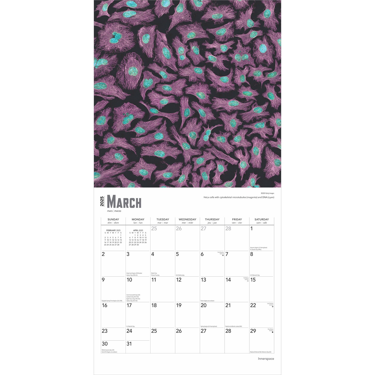 Innerspace | 2025 12 x 24 Inch Monthly Square Wall Calendar | Plastic-Free | BrownTrout | Science Space Exploration Nature