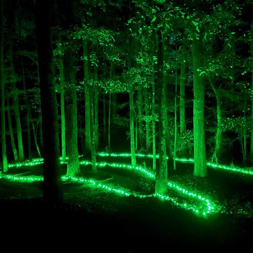 70 5mm Green LED Christmas Halloween Lights, Black Wire, 4&#x22; Spacing