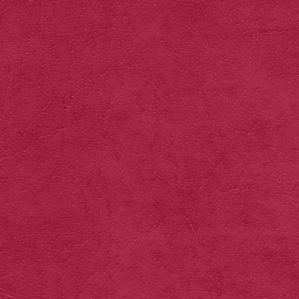Acadia Wild Rose