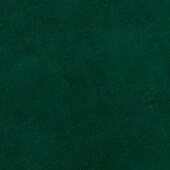 Acadia Green