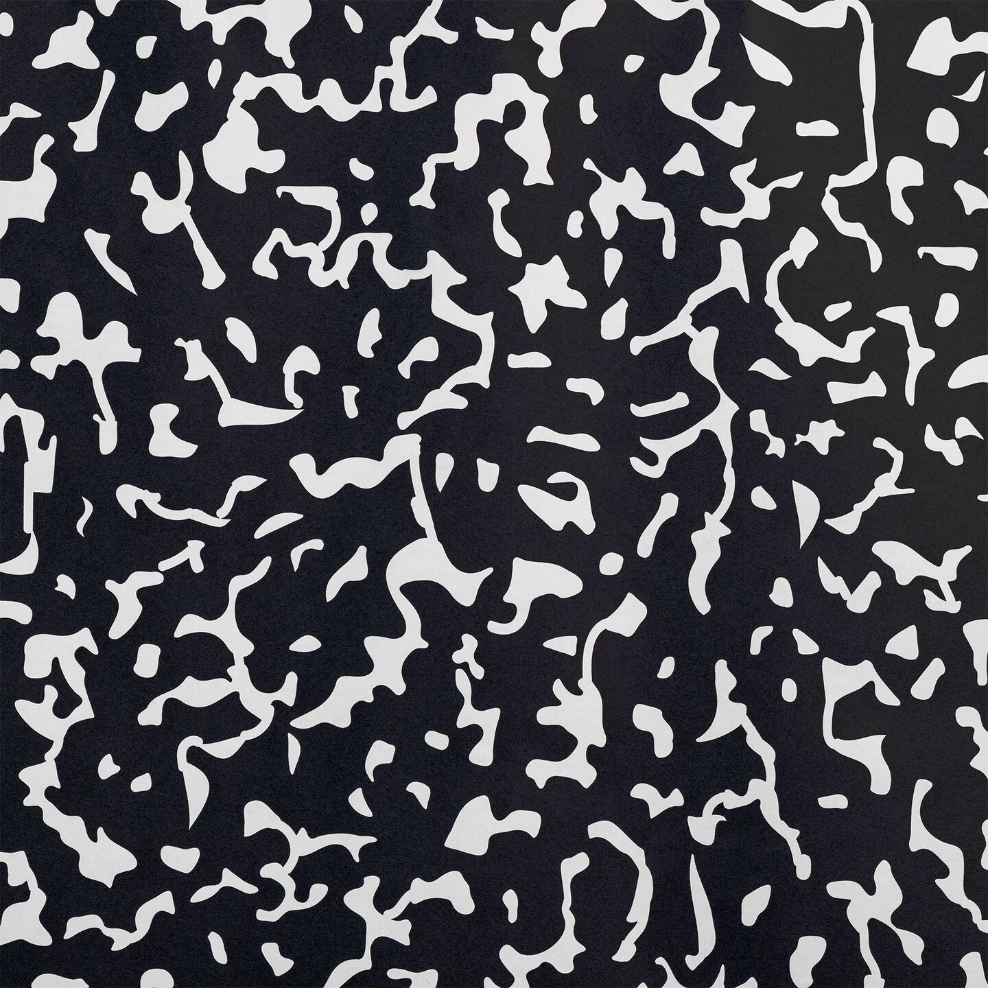 Schoolgirl Style Bulletin Board Paper, 48&#x22; x 50&#x27;, Senior Year