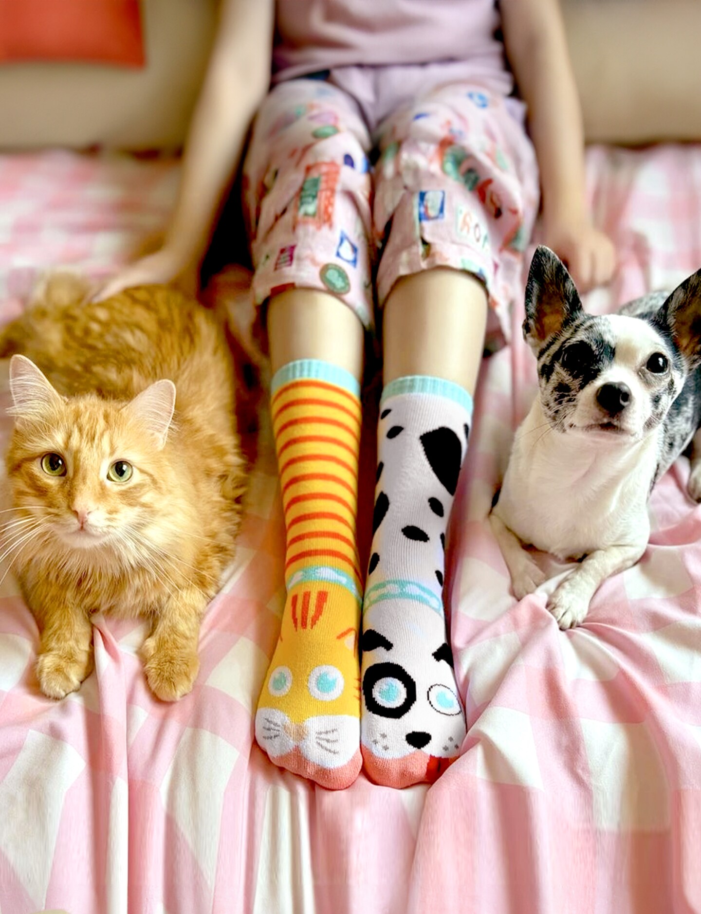 Cat and Dog Fun Mismatched Animals Socks for Adults by Pals Socks