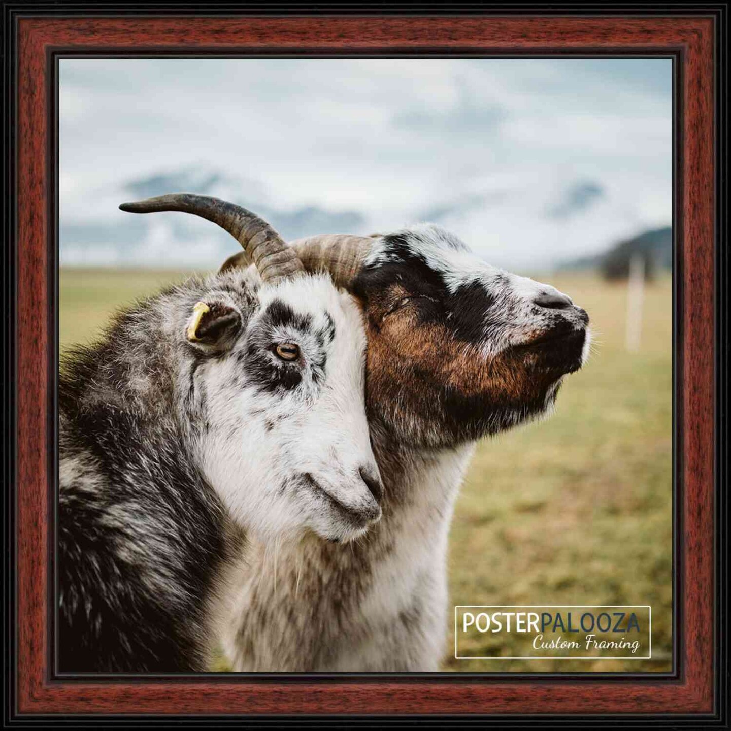 4x4 Decor Picture Frame with UV-Resistant Acrylic &#x26; Acid Free Backing, Available in 2 Finishes - Black and Brown