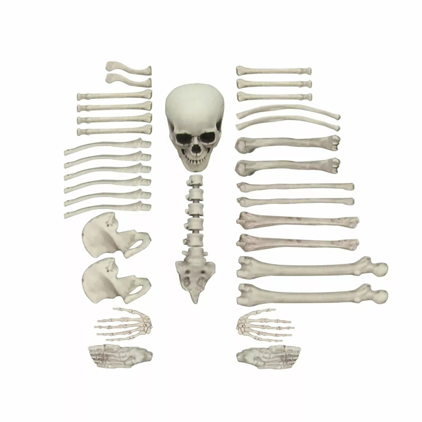 Kitcheniva 35 Pcs Skeleton Bones Skull Scary Props Halloween Decor