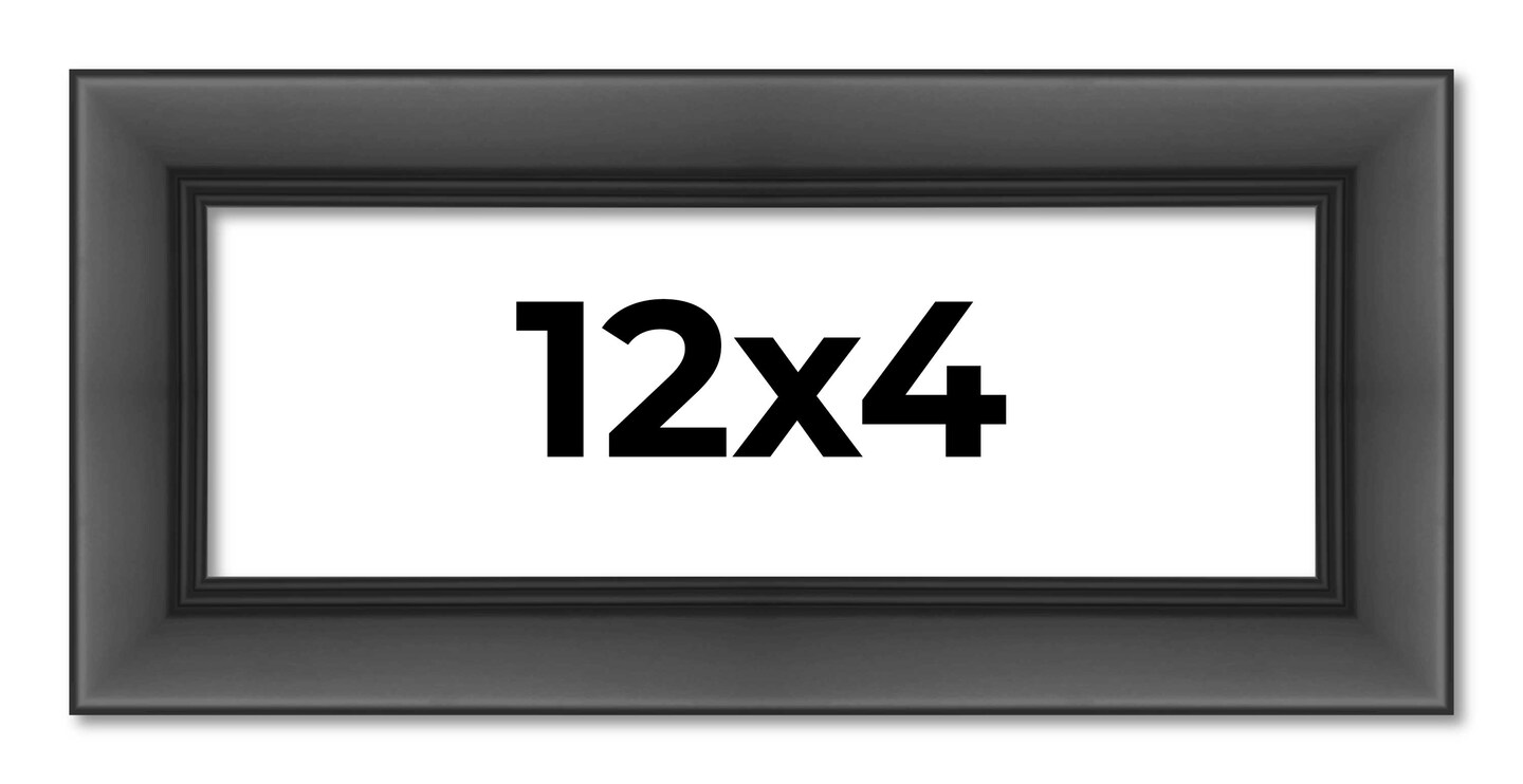 Panoramic Refined Black Picture Frame - UV Acrylic, Foam Board Backing, Hanging Hardware